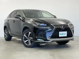 ＮＸ 300h スパイス&シック