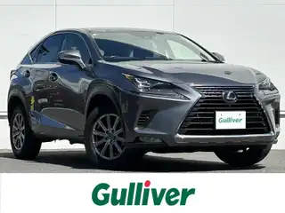 ＮＸ 300h Iパッケージ