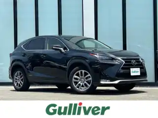 ＮＸ 300h Iパッケージ