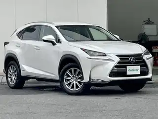 ＮＸ 300h Iパッケージ