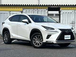 ＮＸ 300h Iパッケージ