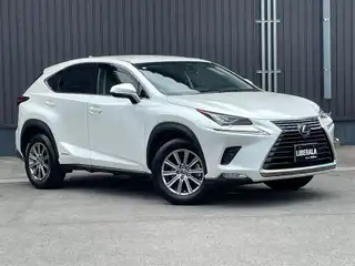 ＮＸ 300h Iパッケージ