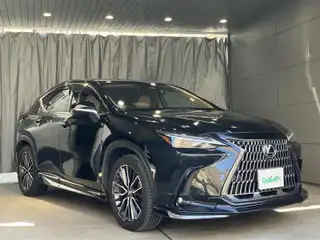 ＮＸ 250 バージョンL