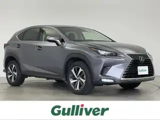 ＮＸ 300 Iパッケージ