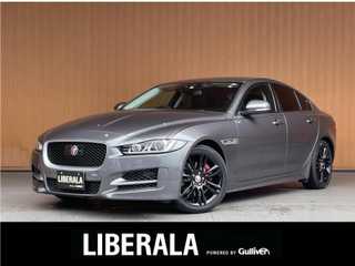 ＸＥ XE R－スポーツ