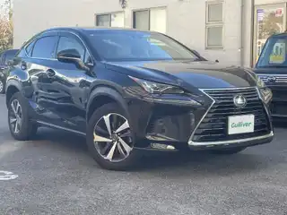 ＮＸ 300 Iパッケージ