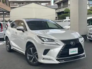 ＮＸ 300h バージョンL