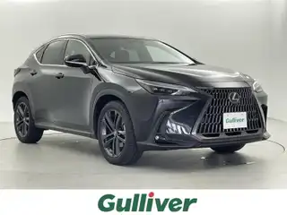 ＮＸ 250 バージョンL