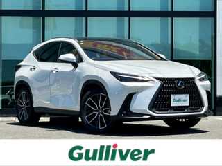ＮＸ 250 バージョンL