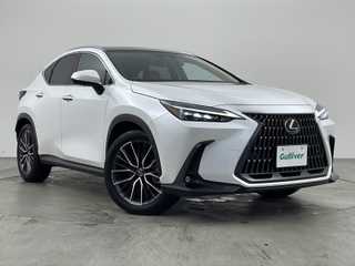 ＮＸ 250 バージョンL