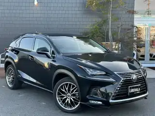 ＮＸ 300 Iパッケージ