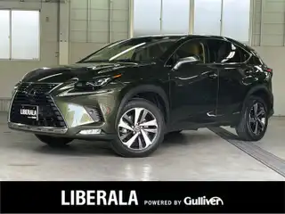 ＮＸ 300h バージョンL