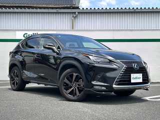 ＮＸ 300h バージョンL