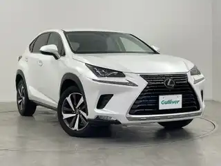ＮＸ 300 バージョンL