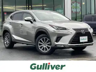 ＮＸ 300h Iパッケージ