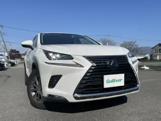 ＮＸ 300h Iパッケージ