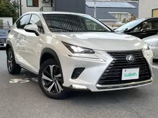 ＮＸ 300h Iパッケージ