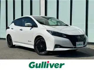 リーフ G