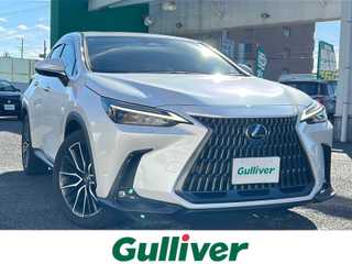 ＮＸ 250 バージョンL