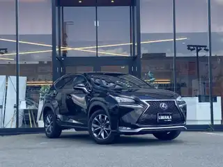 ＮＸ 300h Fスポーツ