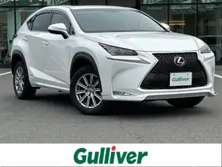 ＮＸ 300h Iパッケージ
