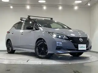 リーフ X Vセレクション