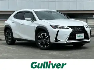 ＵＸ 250h バージョンC