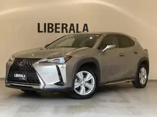 ＵＸ 250h バージョンC