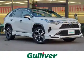 トヨタ,ＲＡＶ４ ＰＨＶ,ブラックトーン