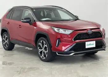 トヨタ,ＲＡＶ４ ＰＨＶ,ブラックトーン