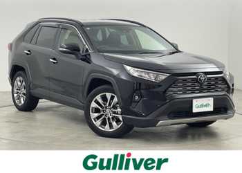 トヨタ,ＲＡＶ４,G Zパッケージ