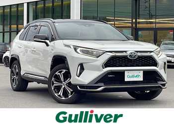 トヨタ,ＲＡＶ４ ＰＨＶ,ブラックトーン