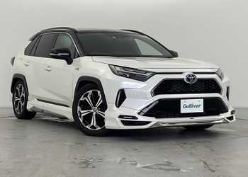 トヨタ,ＲＡＶ４ ＰＨＶ,ブラックトーン