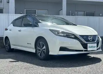 X ZE0 リーフ（日産）の価格・スペック情報{平成22年12月〜平成