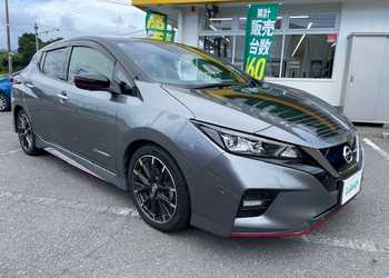 日産,リーフ,ニスモ