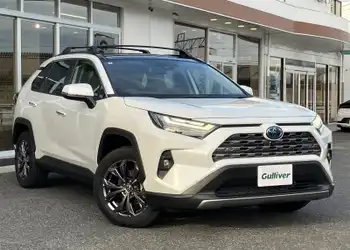 トヨタ,ＲＡＶ４,ハイブリッドG