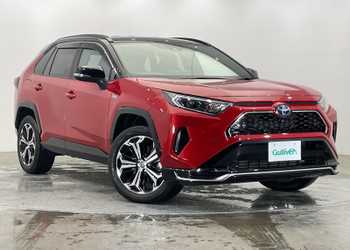 トヨタ,ＲＡＶ４ ＰＨＶ,ブラックトーン