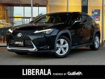 レクサス ＵＸ  ワンオナ ドラレコ フルセグ Bカメ ACC