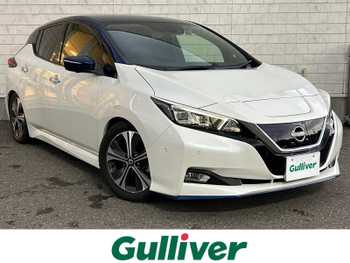 日産 リーフ G ナビ 全周囲C プロパイロット オートパーク