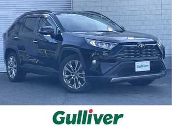 トヨタ ＲＡＶ４ G Zパッケージ 寒冷地 ナビ TV Bカメラ デジタルミラー