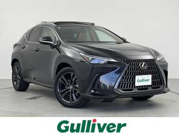 レクサス ＮＸ 250 バージョンL 14インチ純ナビ 全方位カメラ サンルーフ