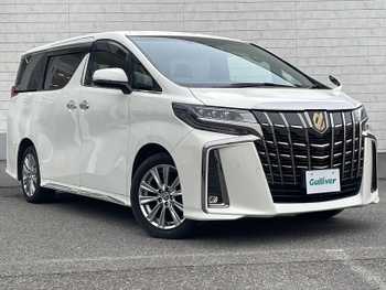 トヨタ アルファード S タイプゴールド 純正ナビ バックカメラ 両側電動 クルコン