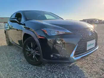 レクサス ＵＸ 250h ブラウンエディション 純正ナビTV 電動Rゲート 360度カメラ ACC