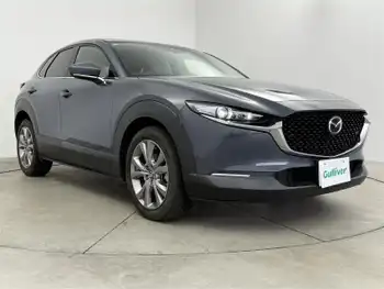 マツダ ＣＸ－３０ 20S プロアクティブツーリングセレ 10型ナビ フルセグ Bカメラ 追従クルコン