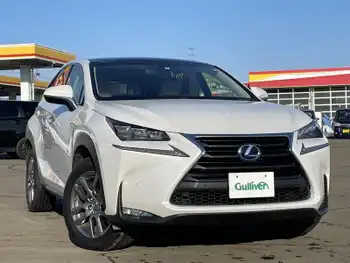 レクサス ＮＸ 300h バージョンL ガラスルーフ 純正ナビ バックカメラ ETC