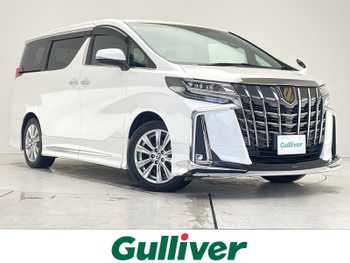 トヨタ アルファード S タイプゴールド 純正9型DAナビ 後席モニター モデリスタ