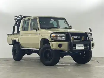 トヨタ ランドクルーザー  バンパーガード 荷室ロールバー 全塗装