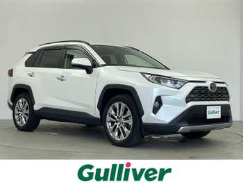 トヨタ ＲＡＶ４ G Zパッケージ BSM Bカメラ ETC ドラレコ 純正ナビ