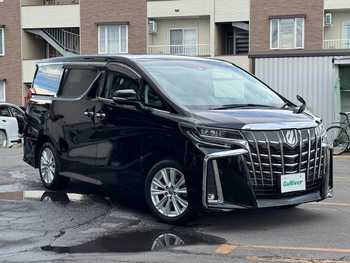 トヨタ アルファード S 寒冷地 Tコネクト バックカメラ 電動ドア
