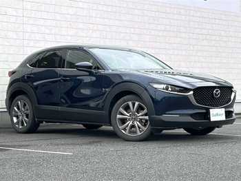 マツダ ＣＸ－３０ 20S Lパッケージ 純正ナビ 電動リアゲート ドラレコ ETC